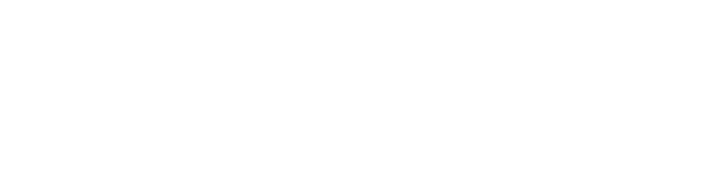 城市安全 CITY SECURITY